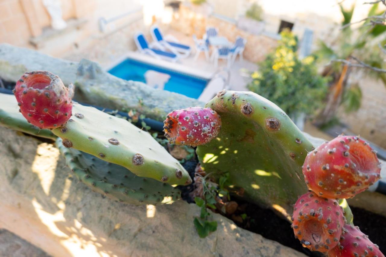 Prickly Pear Holiday Home No.1 San Lawrenz Luaran gambar