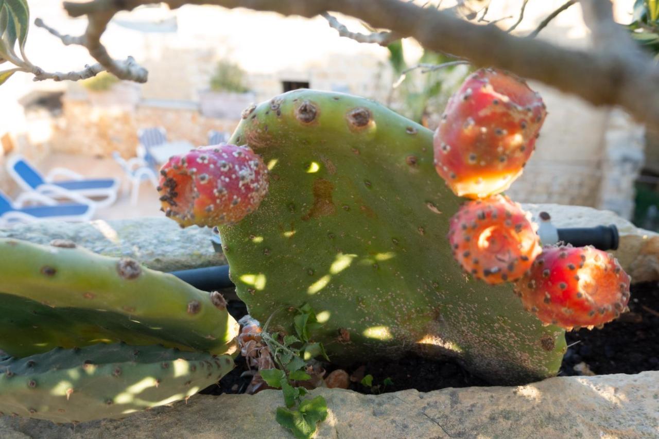 Prickly Pear Holiday Home No.1 San Lawrenz Luaran gambar
